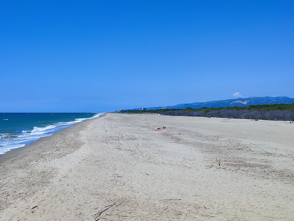 Platja de Cal Francès (Viladecans)