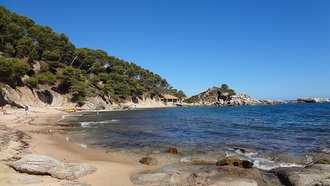 Cap de Planes (Palamós)
