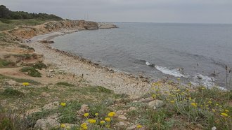 Cala del Bol Roig (La Escala)
