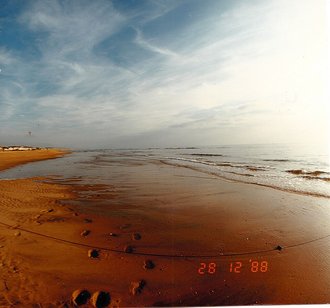 Playa de Matalascañas (Almonte)
