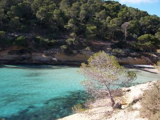 Playa del Mago (Calviá)