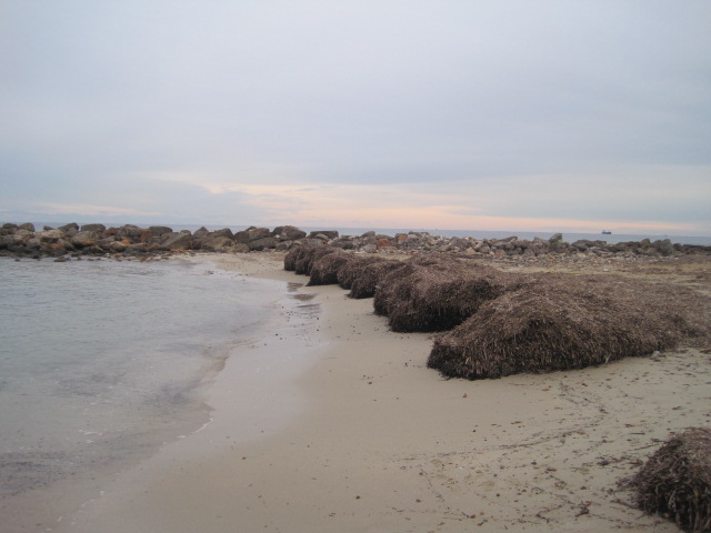 Es Caló de S'Algar (Santa Eulalia del Río)
