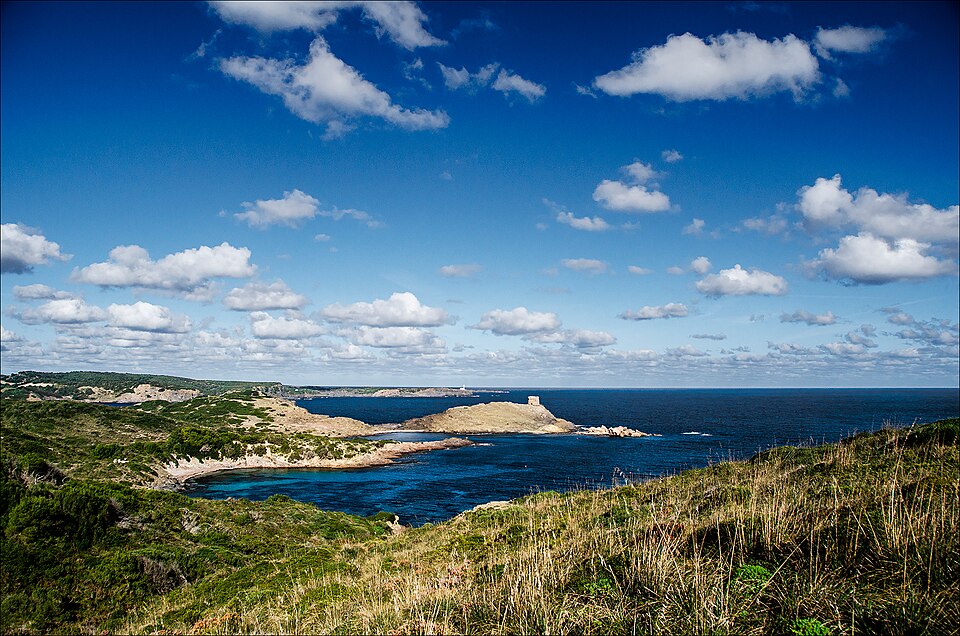 Tamarells del Sud (Mahón)