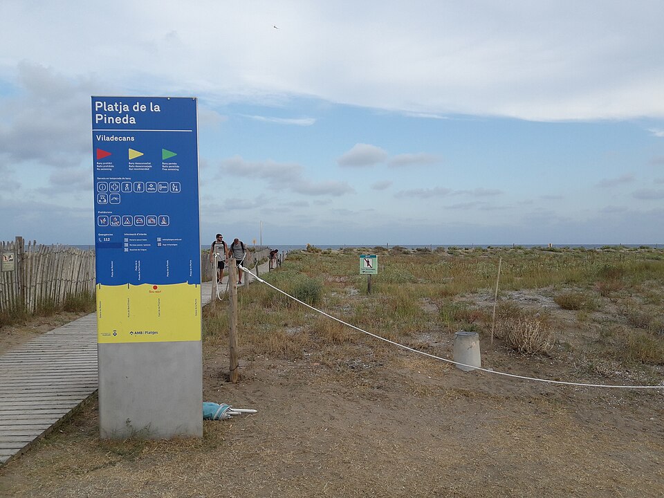 Platja de la Pineda (Viladecans)
