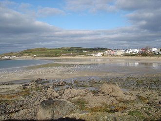 Playa de La Concha (Espasante)