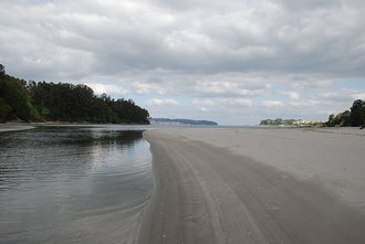 Alameda (A Ponte do Porco)