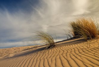 Playa de Valdevaqueros (Tarifa)