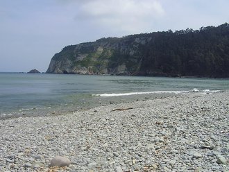 Playa de La Concha (Artedo) (Soto de Luiña)