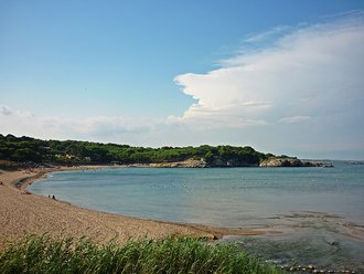 Platja del Rec del Molí (La Escala)