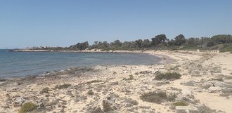 Platja Es Dofí (Las Salinas)