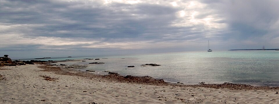 Els Pregons Grans (Campos)