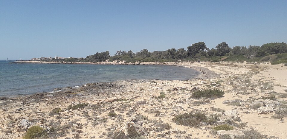 Platja Es Dofí (Las Salinas)