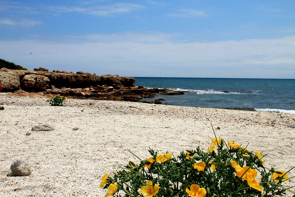 Cala de las Petxinas (Peñíscola)