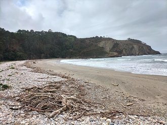 Playa de Cueva (Valdés)