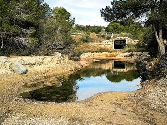 Cala de l’Estany Podrit (La Ametlla de Mar)