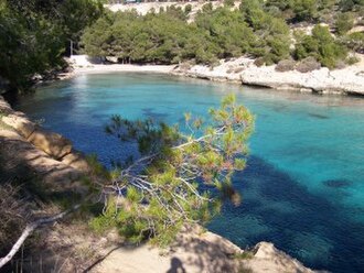 Platja del Rei (Calviá)
