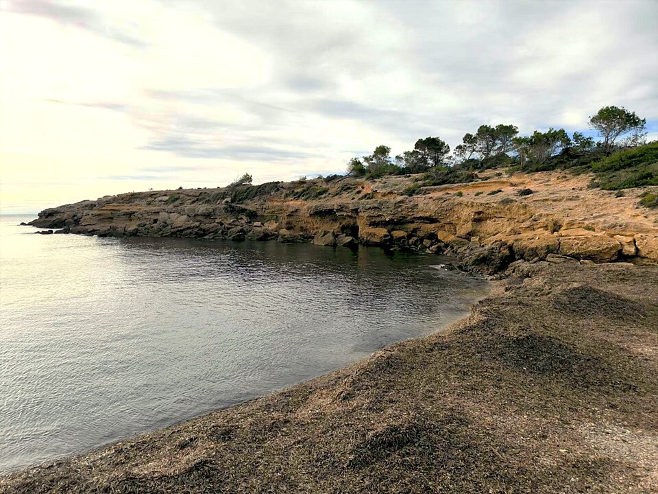 Bon Caponet (La Ametlla de Mar)