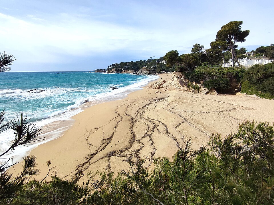 Cala del Forn (Calonge)