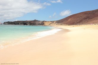 Playa de Las Conchas (Teguise)