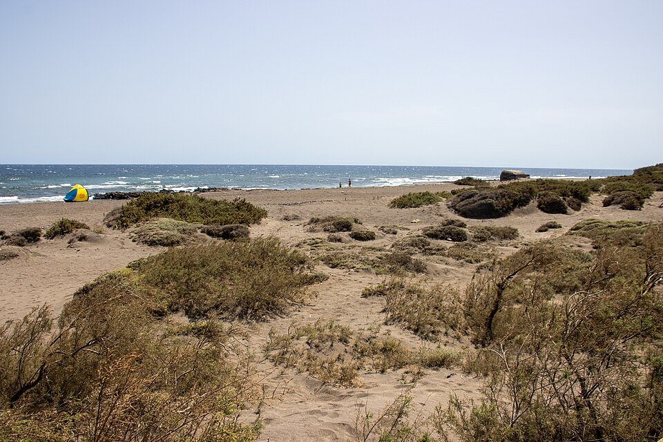 El Cabezo (El Médano)