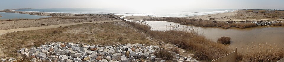 Platja de la Ricarda - Ca l'Arana (El Prat de Llobregat)