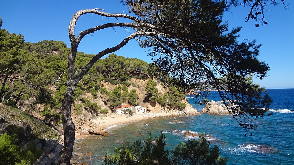 Cala de Crit (Montrás)
