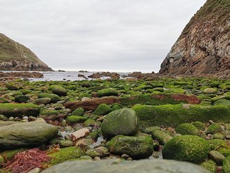 Playa de Salencia (Novellana)