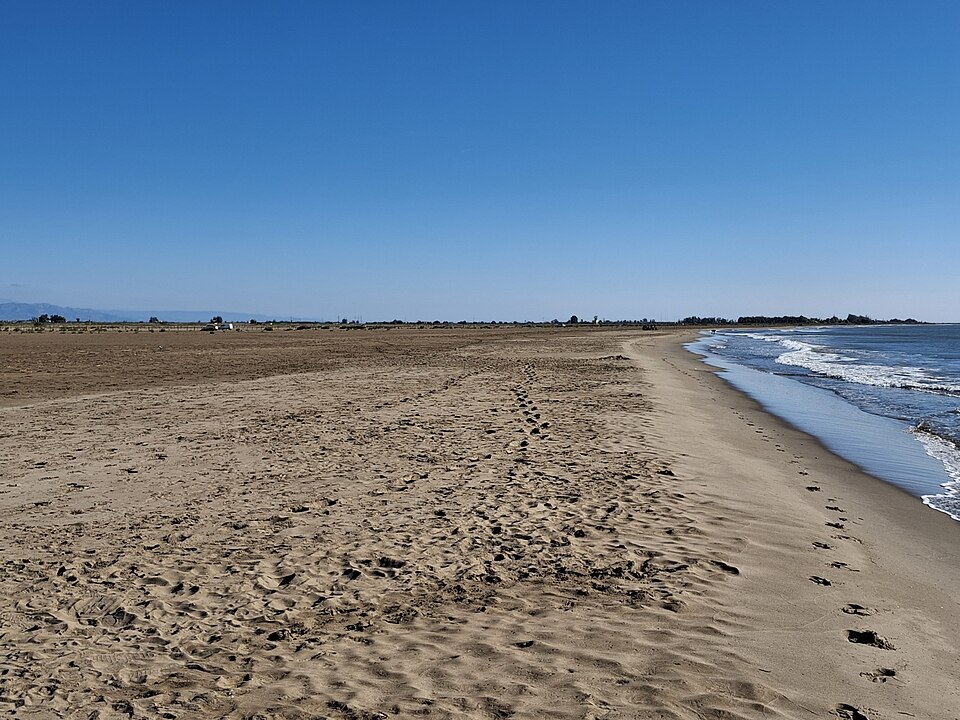 Platja de l'Aluet (Amposta)