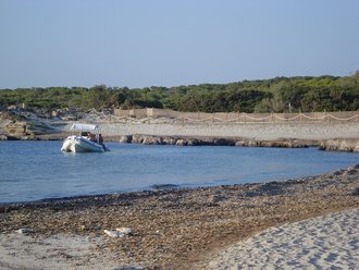 Els Pregons Petits (Campos)
