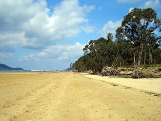 Playa del Regatón (Laredo)