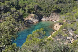Cala Bona (Tosa de Mar)