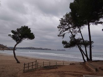 Playa de Palmira (Calviá)