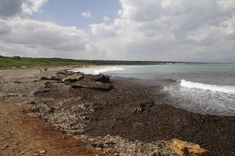 Playa de Sa Canova (Artá)