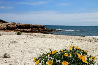 Cala de las Petxinas (Peñíscola)