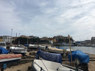Gran de Palamós (Palamós)