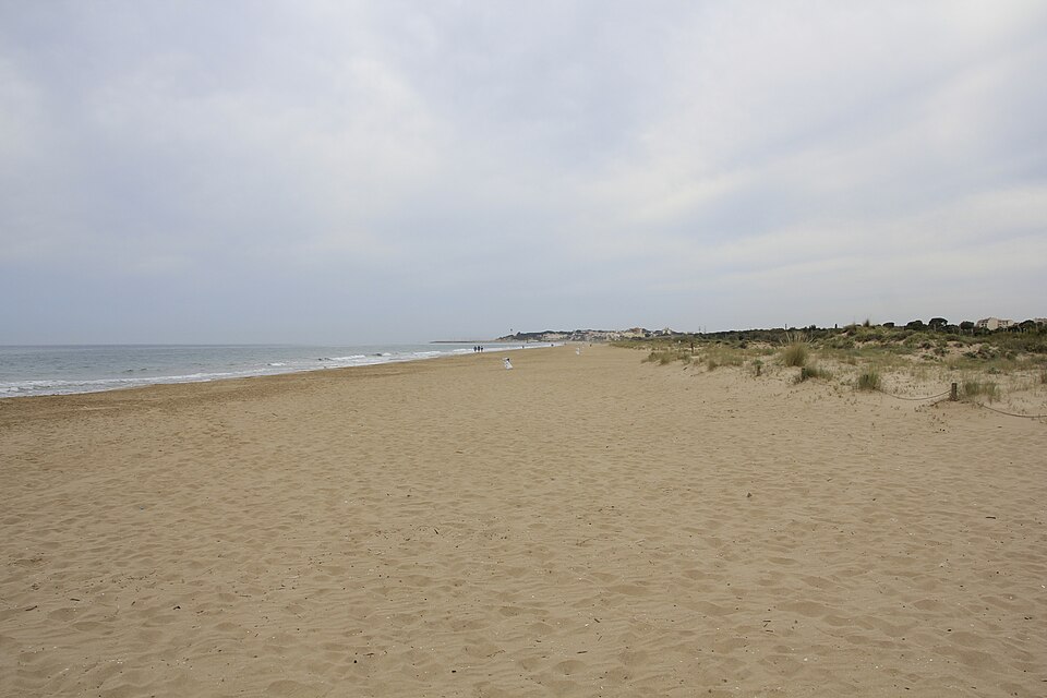 Platja dels Muntanyans (Torredembarra)