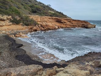 Es Canal de S'Olla (San José)