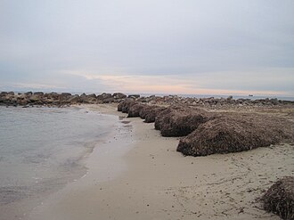 Es Caló de S'Algar (Santa Eulalia del Río)
