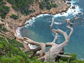 Cala Basset (Andrach)