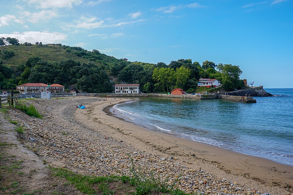 Dícido (Mioño)