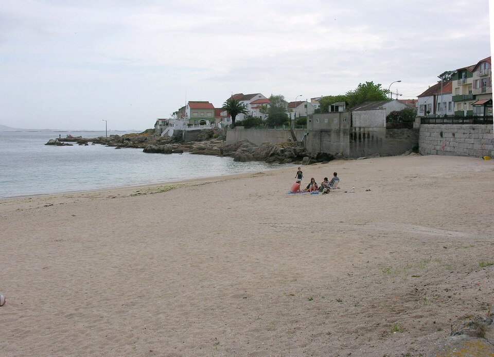 A Ameixida (Castiñeiras)