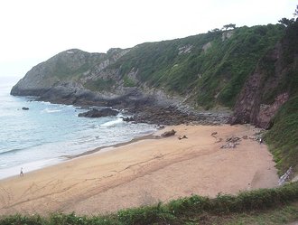 Playa de Carranques (Perlora)