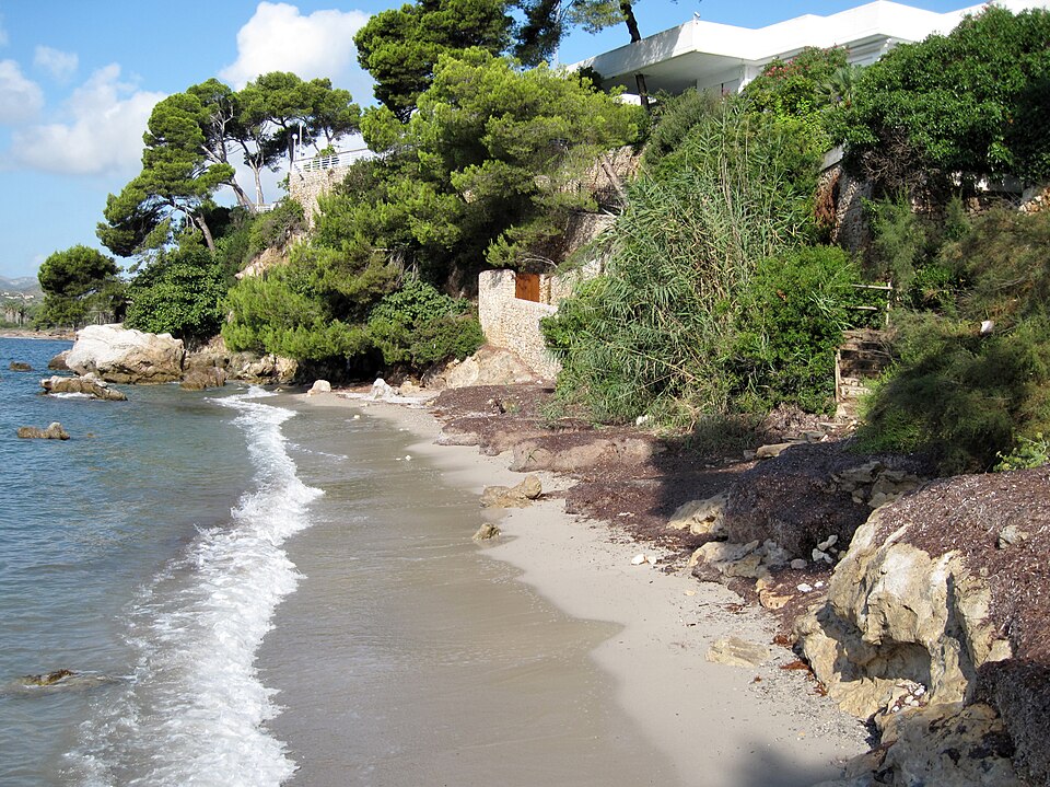 Platja del Rajolí (Costa de los Pinos)