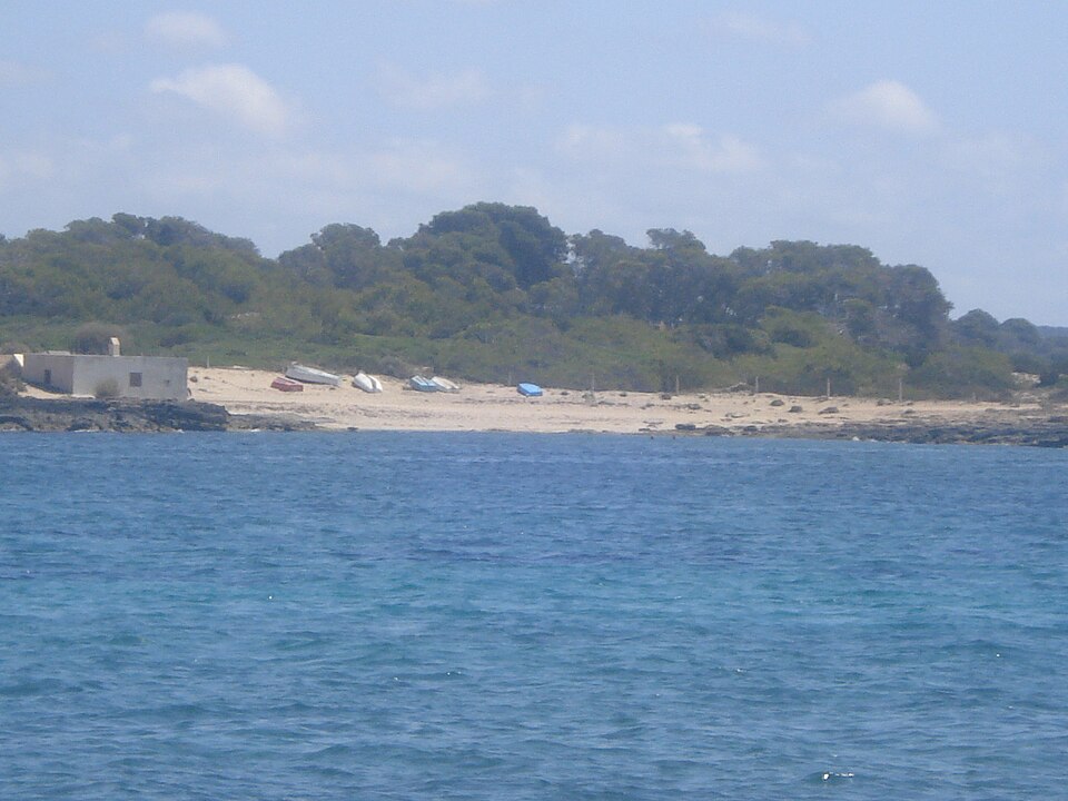 Platja de Can Curt (Las Salinas)