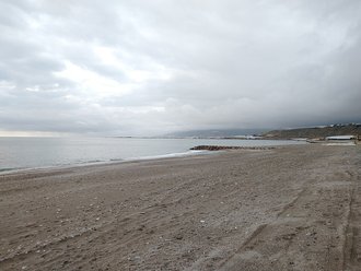 Balanegra (Balanegra)