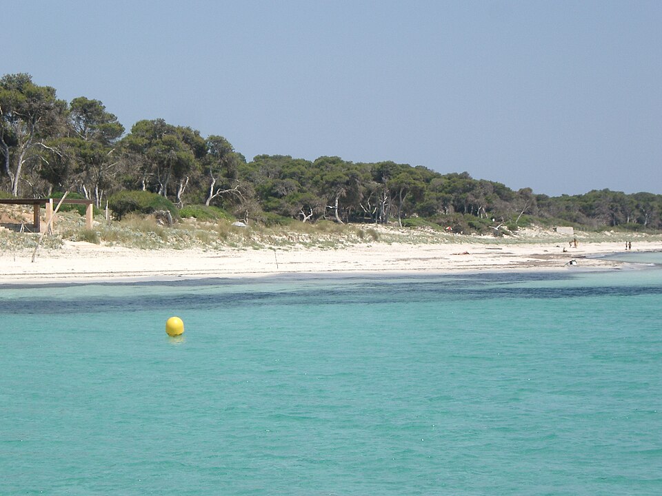 Es Carbó (Las Salinas)