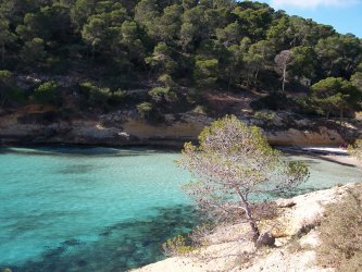 Playa del Mago (Calviá)