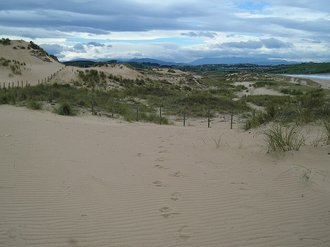Playa de Canallave (Piélagos)