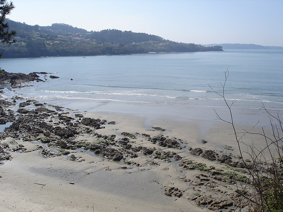 Playa de Chamoso (Porto)