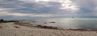 Els Pregons Grans (Campos)